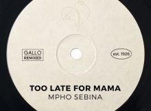 Mpho Sebina – Too Late for Mama
