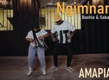 Boohle ft. Gaba Cannal – Ngimnandi Video