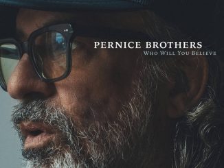Pernice Brothers Net Worth: Literary genre